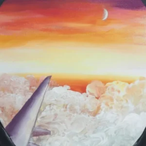 Fly me to the Moon Flúor