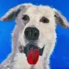 Tributo a tu Mascota