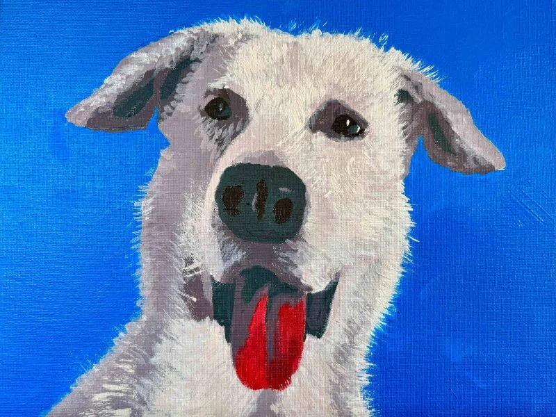 Tributo a tu Mascota