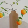 Vitamin