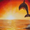 Dolphin Flúor