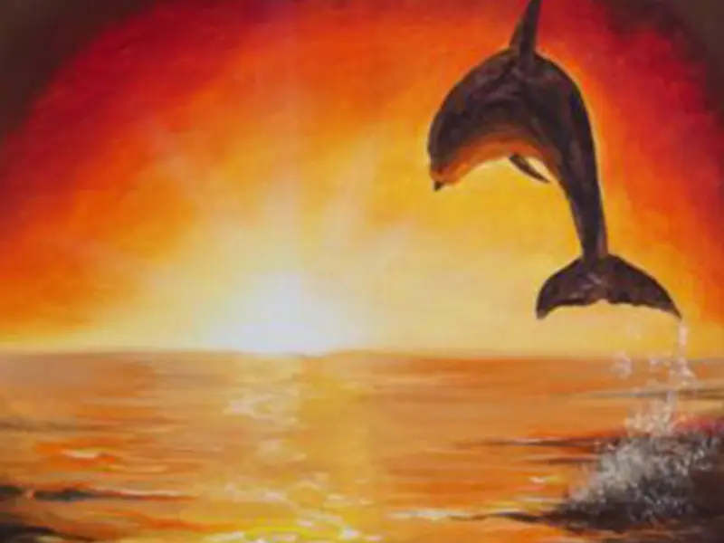 Dolphin Flúor